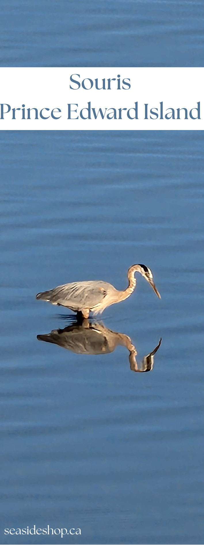 Bookmarks by SeaSideShop